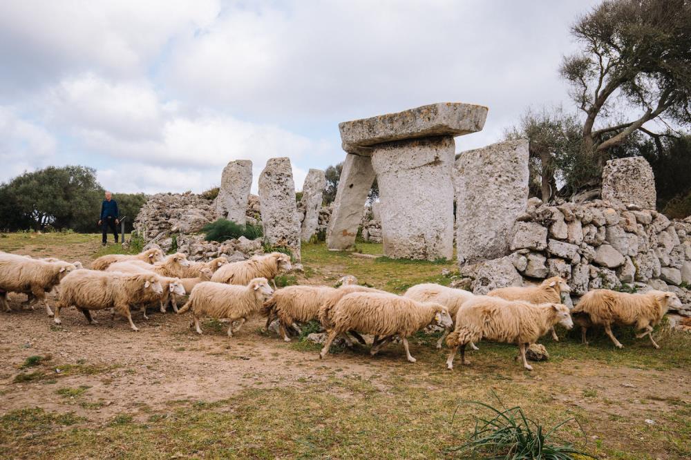 talatí de dalt